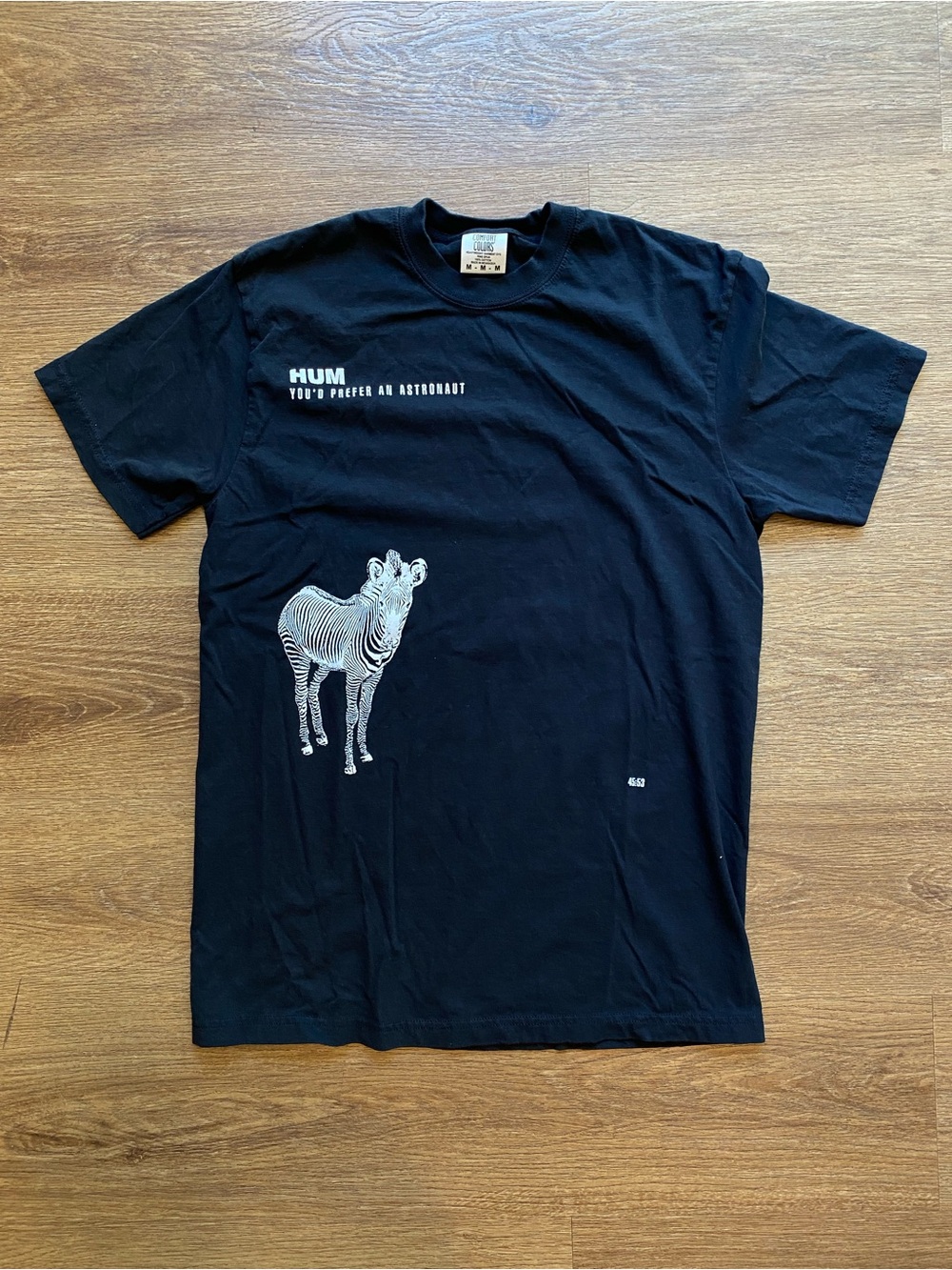 HUM band t shirt